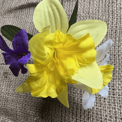 Double headed Daffodil