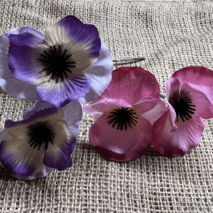 Double headed pansy in pink