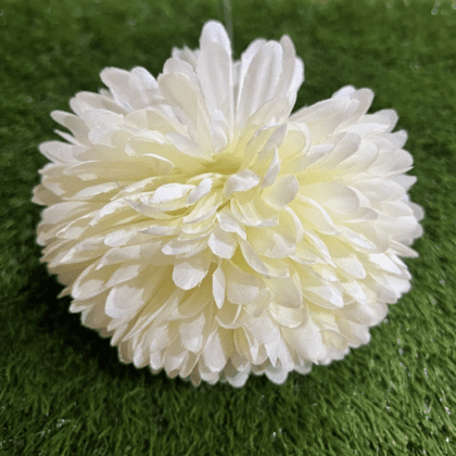 XL cream Pom Pom chrysanthemum
