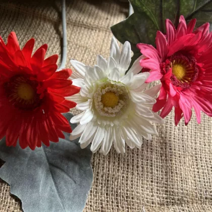 Red, white & hot pink gerbera