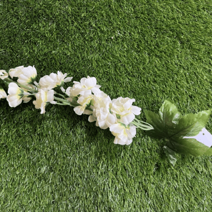 Large cream delphinium