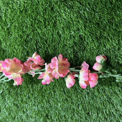 Large pink delphinium