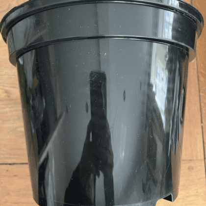 Large plastic garden pot (22cm)