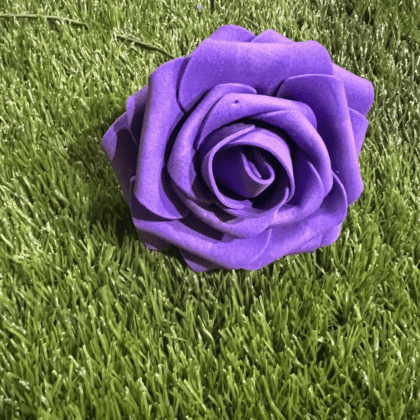 Purple foam rose