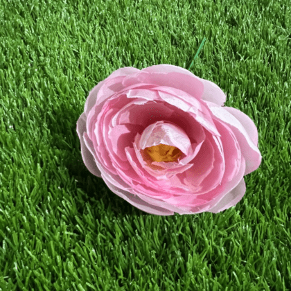 Ranunculus light pink