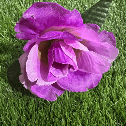 pinky/purple Rose
