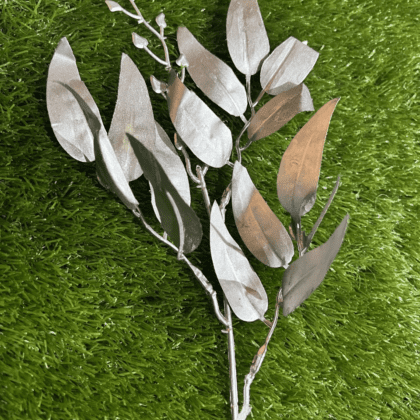 Silver bay leaf stem