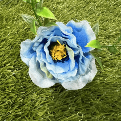 Small ranunculus Light blue with yellow centre