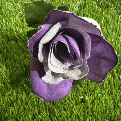 Two tone purple rose