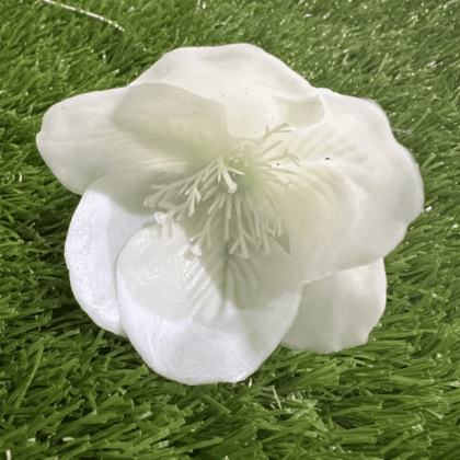 White Christmas Rose waxed