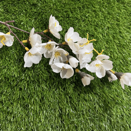 White cherry blossom stem