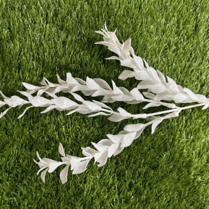 White eucalyptus stem