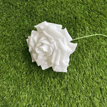 White foam rose