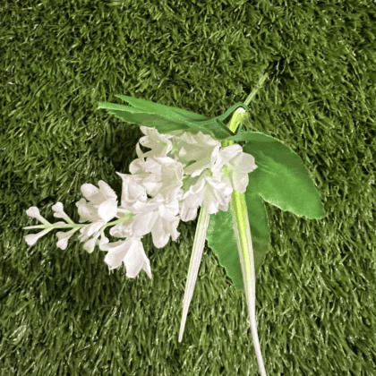 White mini delphinium